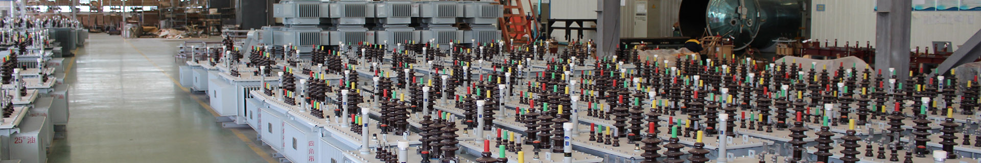 Oil-immersed Transformer