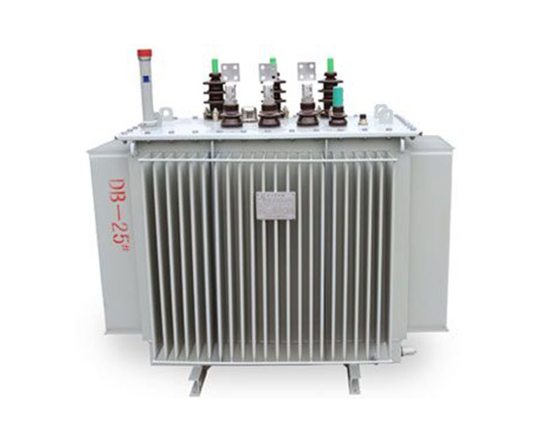 Oil-immersed Transformer