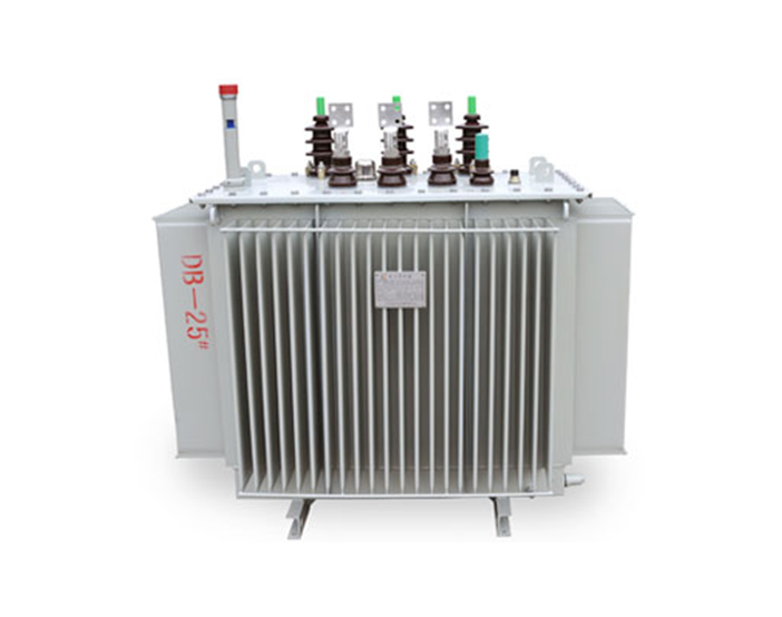 Oil-immersed Transformer