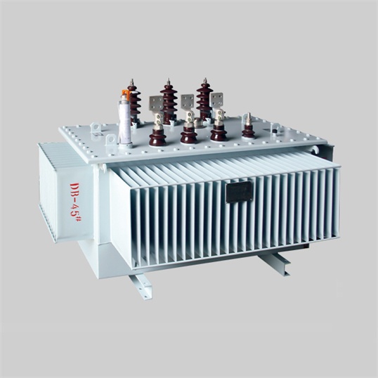 What are the main components of oil immersed transformers
